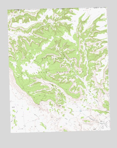 Heifer Point, NM USGS Topographic Map