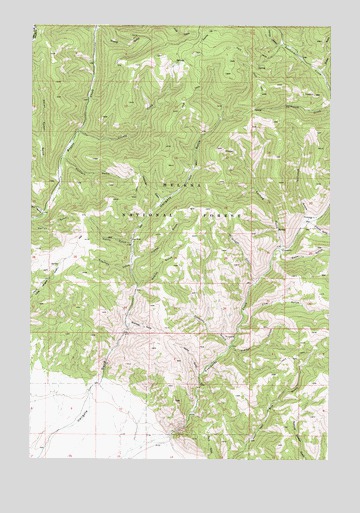 Hellgate Gulch, MT USGS Topographic Map