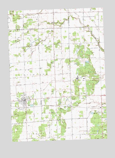 Hemlock, MI USGS Topographic Map