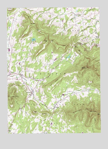 Hensonville, NY USGS Topographic Map