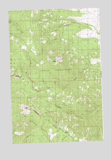 Hewolf Mountain, MT USGS Topographic Map
