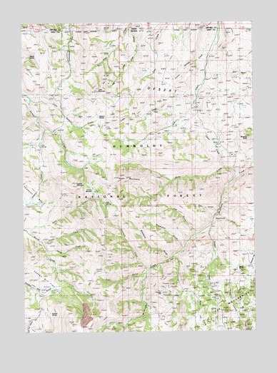 Hicks Mountain, NV USGS Topographic Map