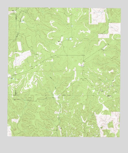 Hill Ranch, TX USGS Topographic Map