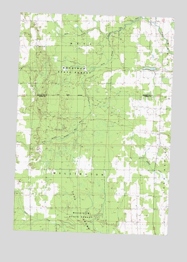 Hillman NE, MI USGS Topographic Map