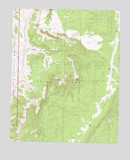 Hockey Puck Spring, AZ USGS Topographic Map