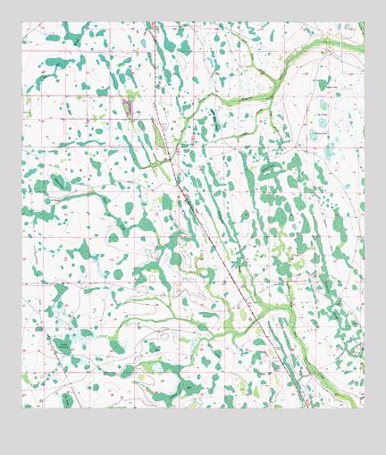 Holopaw SE, FL USGS Topographic Map