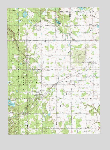 Holton, MI USGS Topographic Map