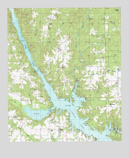 Holtville, AL USGS Topographic Map