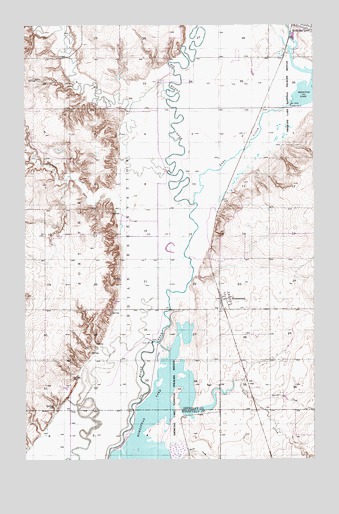 Homestead, MT USGS Topographic Map