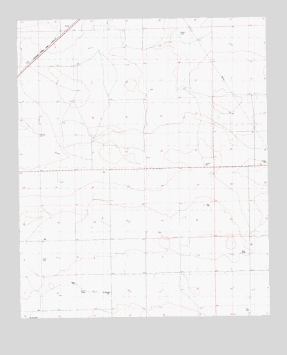 Badger Lake, NM USGS Topographic Map