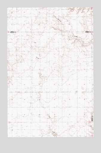 Homestead NW, MT USGS Topographic Map