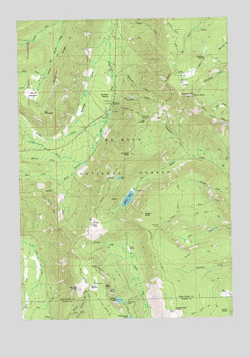Badger Lake, OR USGS Topographic Map
