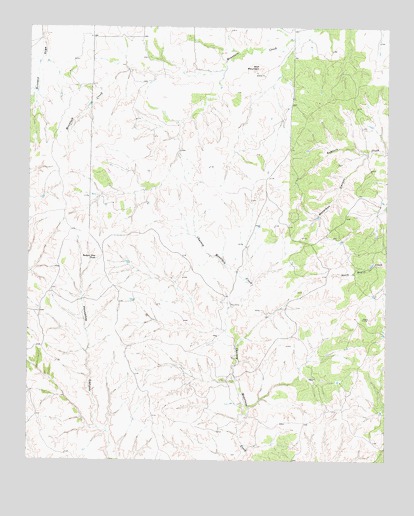 Badger Nest Tank, TX USGS Topographic Map