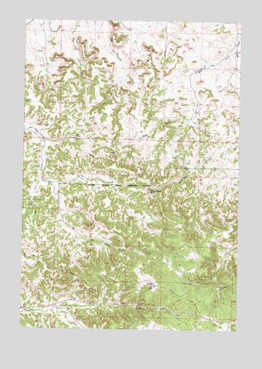 Badger Peak, MT USGS Topographic Map