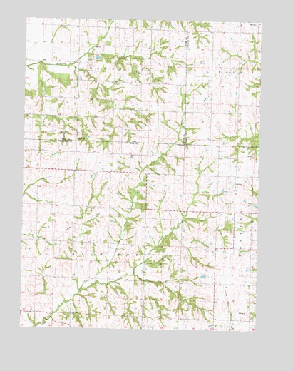 Hopkins SW, MO USGS Topographic Map