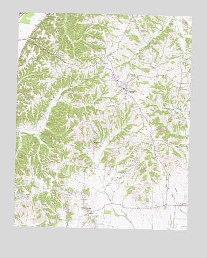 Hornbeak, TN USGS Topographic Map