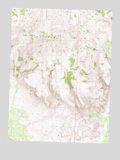 Horse Canyon, NV USGS Topographic Map