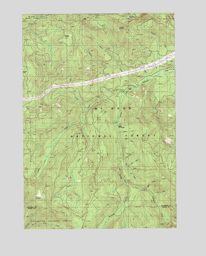 Bagby Hot Springs, OR USGS Topographic Map