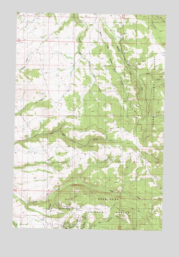 Baggs Creek, MT USGS Topographic Map