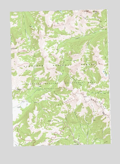 Horton Peak, ID USGS Topographic Map
