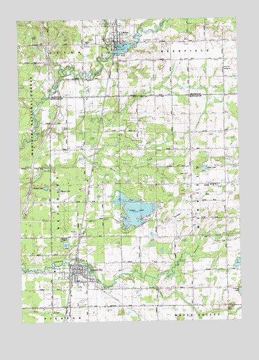 Howard City, MI USGS Topographic Map
