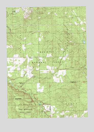 Hoxeyville, MI USGS Topographic Map
