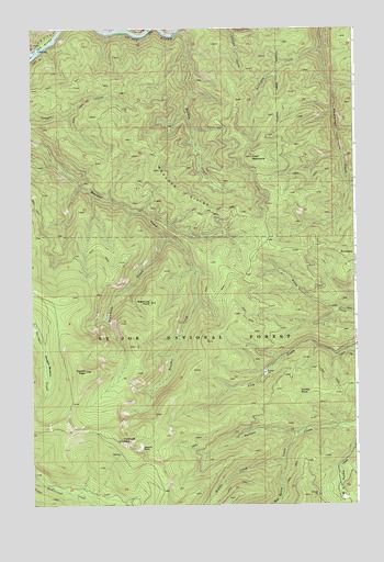 Hoyt Mountain, ID USGS Topographic Map