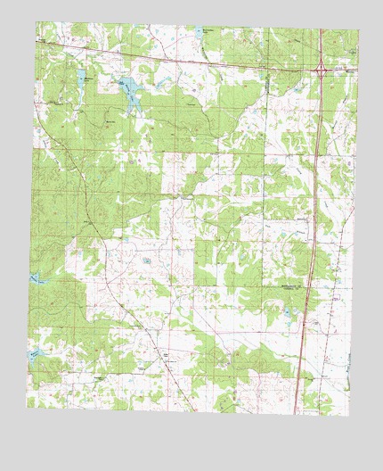 Bailey Lake, MS USGS Topographic Map