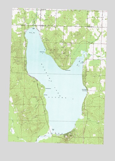 Hubbard Lake, MI USGS Topographic Map