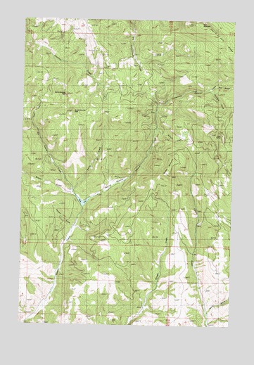 Bailey Mountain, MT USGS Topographic Map