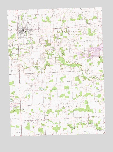 Hudson, MI USGS Topographic Map