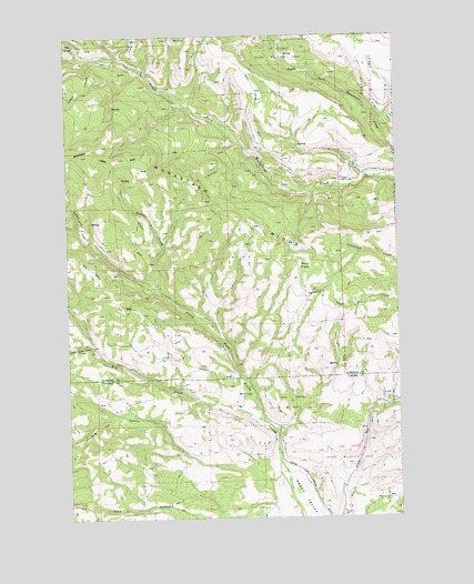 Hudson Creek, WA USGS Topographic Map