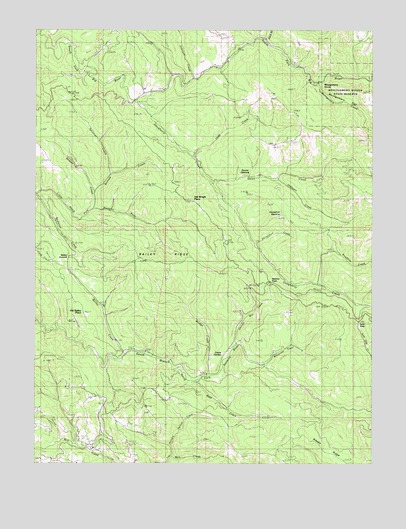 Bailey Ridge, CA USGS Topographic Map