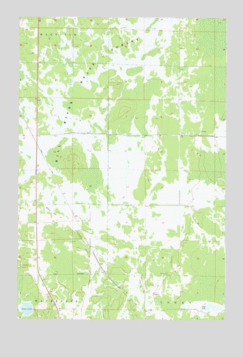Bain, MN USGS Topographic Map