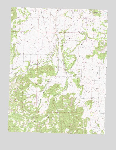 Hunter Mesa, CO USGS Topographic Map