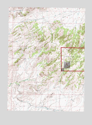 Ice Cave Mountain, WY USGS Topographic Map