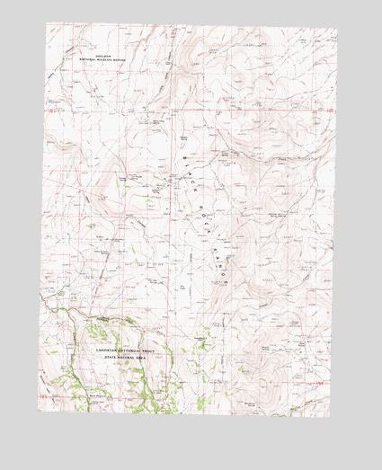 Idaho Canyon Spring, NV USGS Topographic Map