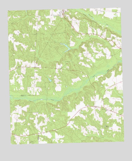 Ideal South, GA USGS Topographic Map