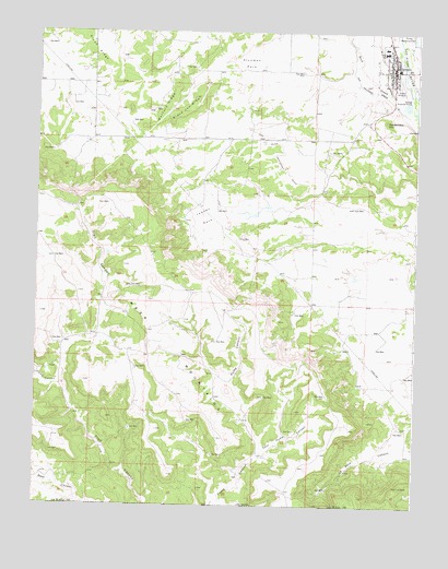 Ignacio, CO USGS Topographic Map