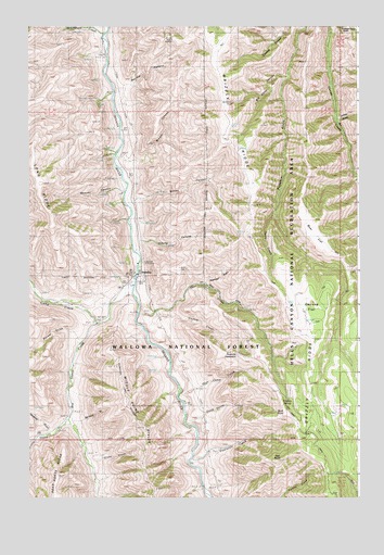 Imnaha, OR USGS Topographic Map