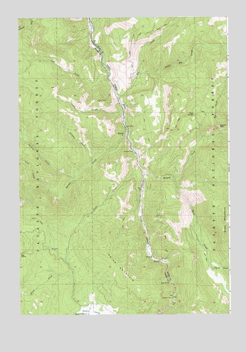 Indian Mountain, ID USGS Topographic Map