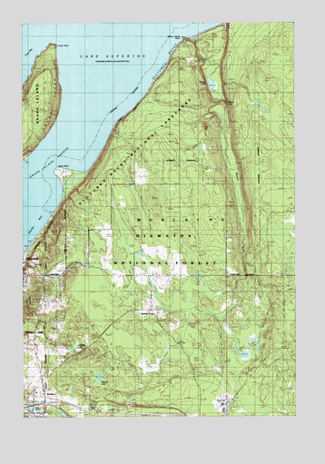 Indian Town, MI USGS Topographic Map