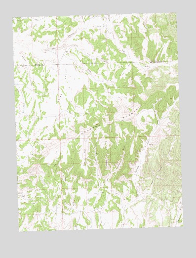 Indian Valley, CO USGS Topographic Map