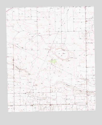 Ink Basin, TX USGS Topographic Map