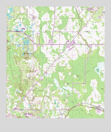 Intercession City, FL USGS Topographic Map