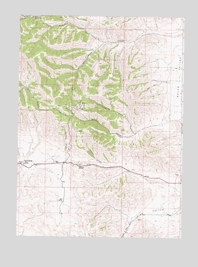 Ireland Springs, ID USGS Topographic Map