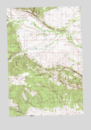 Bald Butte, MT USGS Topographic Map
