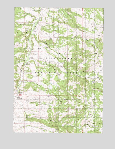 Iron Creek, MT USGS Topographic Map