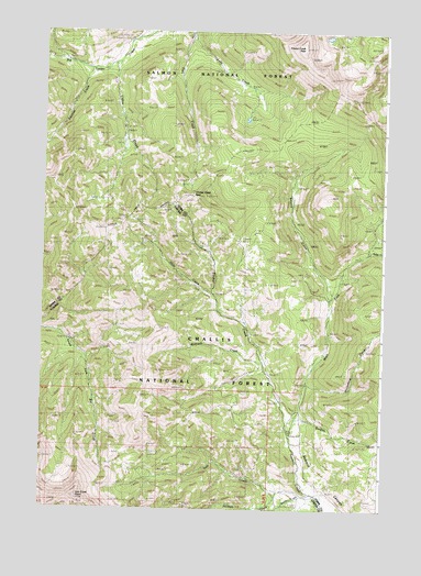 Iron Creek Point, ID USGS Topographic Map