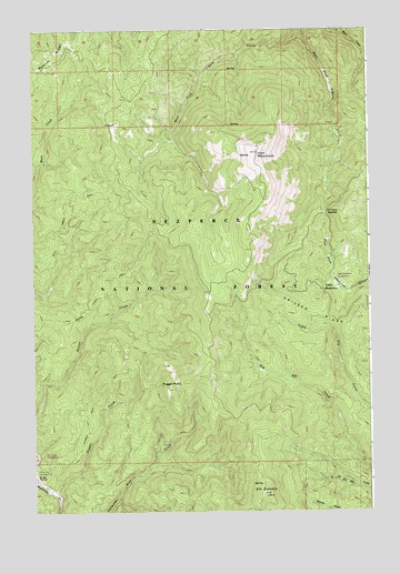 Iron Mountain, ID USGS Topographic Map